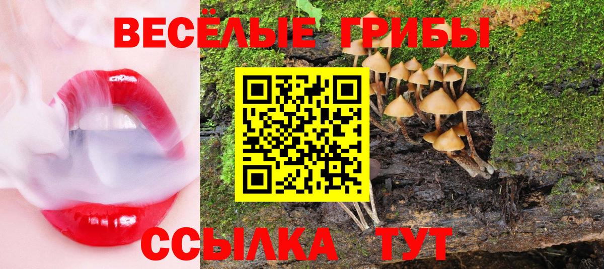 Псилоцибиновые грибы MAGIC MUSHROOMS Тюмень